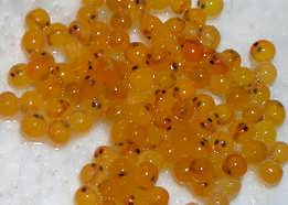 چشم زدگی