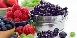 طرح توجیهی تولید پودر میوه