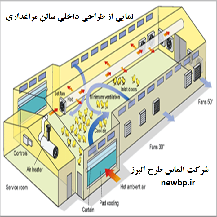 طراحی سالن مرغداری گوشتی