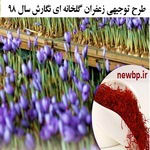 طرح توجیهی پرورش زعفران در گلخانه word +فایل pdf کشت گلخانه ای زعفران 98