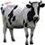 طرح توجیهی پرورش گاو شیری 50 راسی word + pdf ⭐️ محاسبه درآمد گاوداری شیری 50 راسی