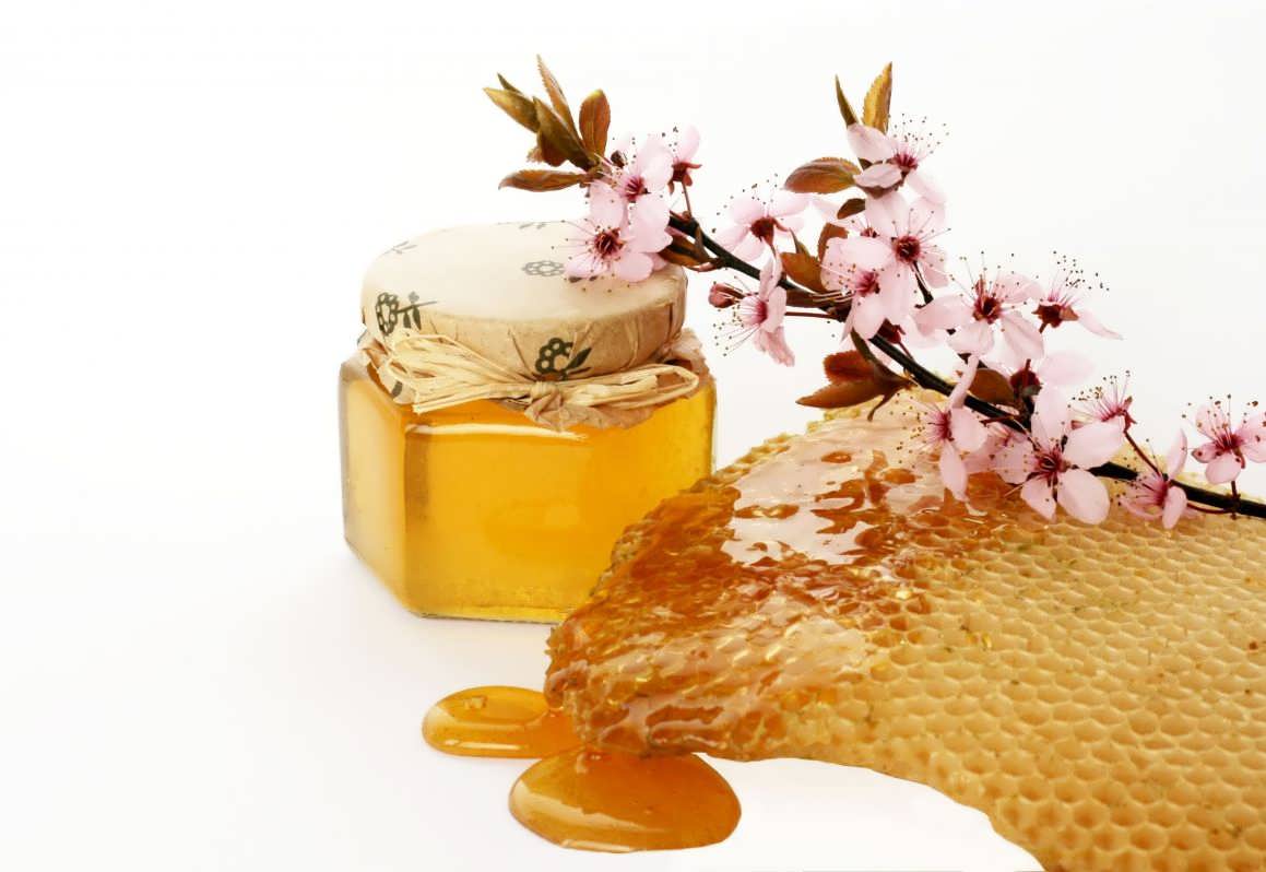 طرح توجیهی پرورش زنبورعسل