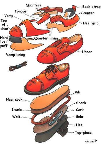 قسمت های مختلف یک کفش