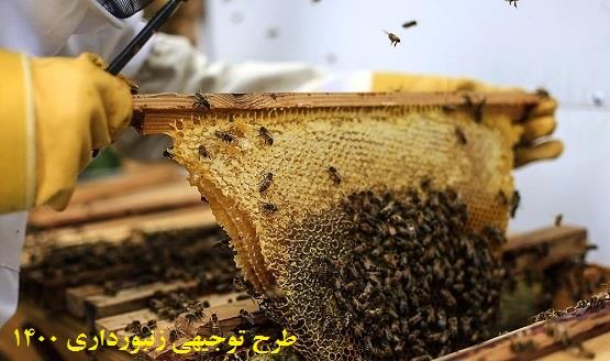 طرح توجیهی زنبورداری ۱۴۰۰