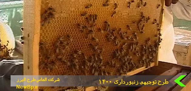 طرح توجیهی زنبورداری ۱۴۰۰