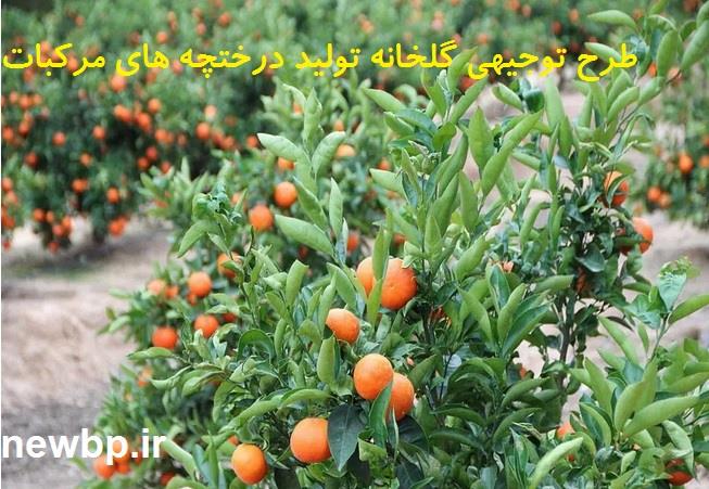 طرح توجیهی گلخانه تولید درختچه های مرکبات