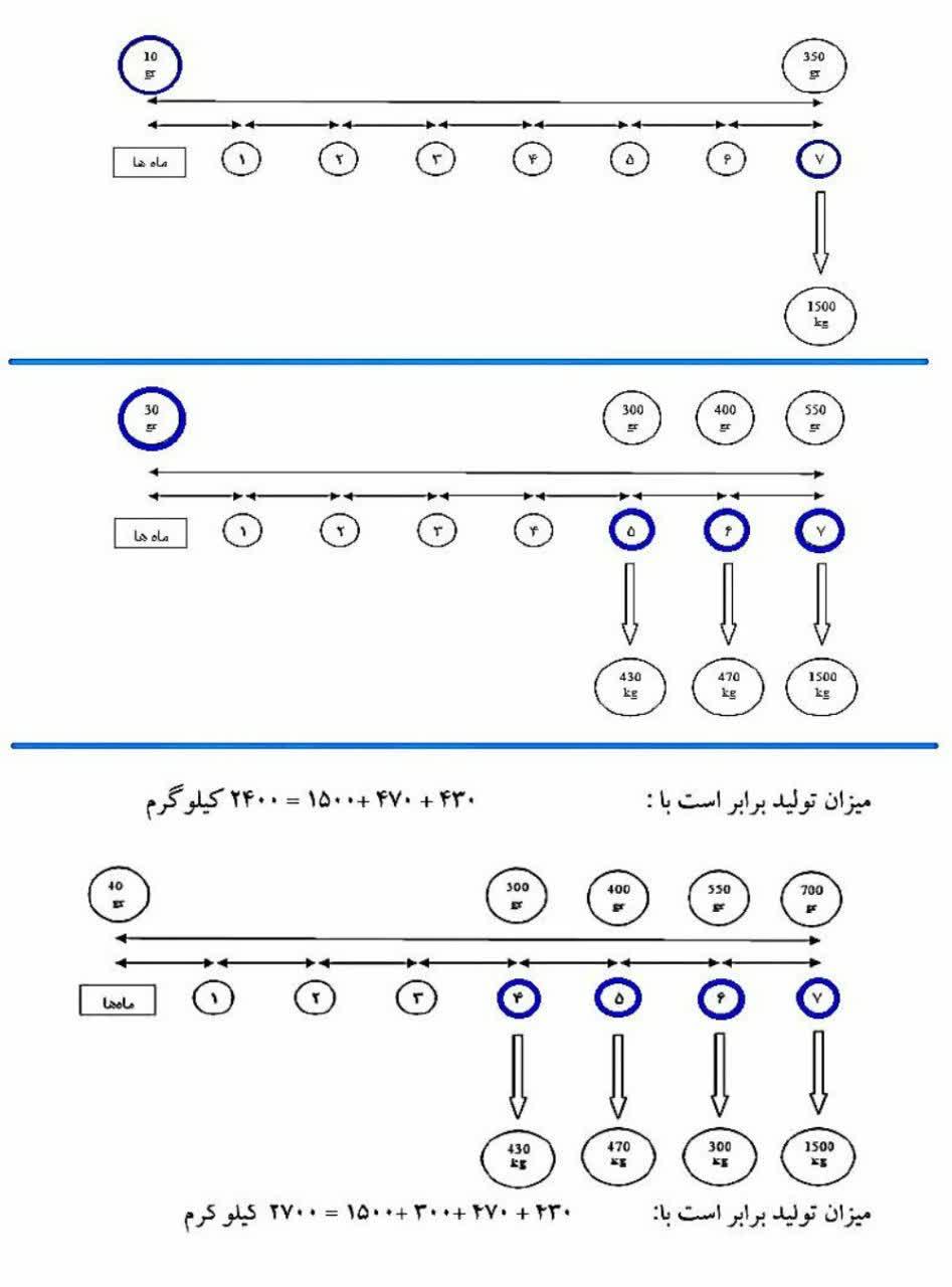 جدول میزان وزن بچه ماهی و دوره زمانی تا مقدار تولید