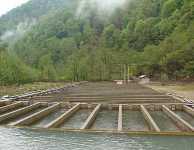 سیستم مستطیلی پرورش ماهی