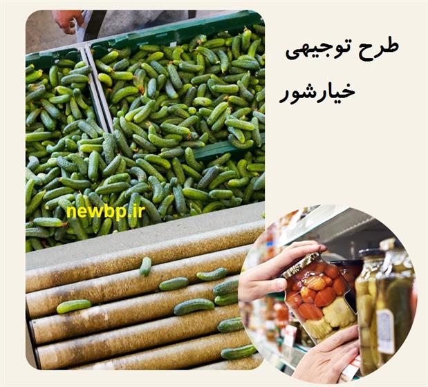 طرح توجیهی تولید خیارشور + pdf + word