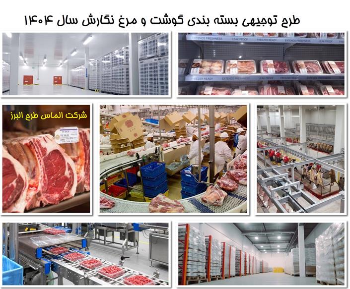 طرح توجیهی بسته بندی گوشت و مرغ