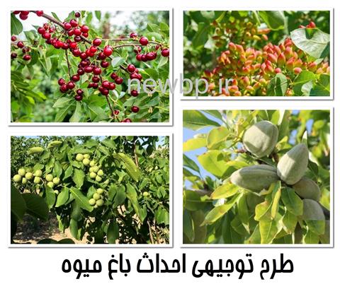 طرح توجیهی احداث باغ میوه