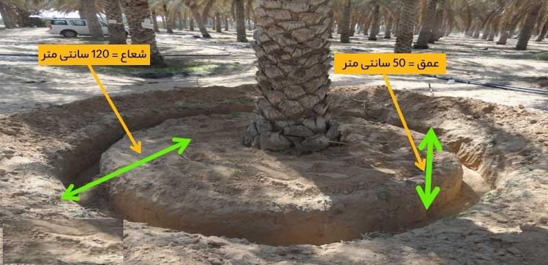 آبیاری  نخلستان
