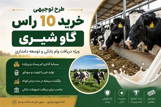 طرح توجیهی خرید 10راس گاو شیری