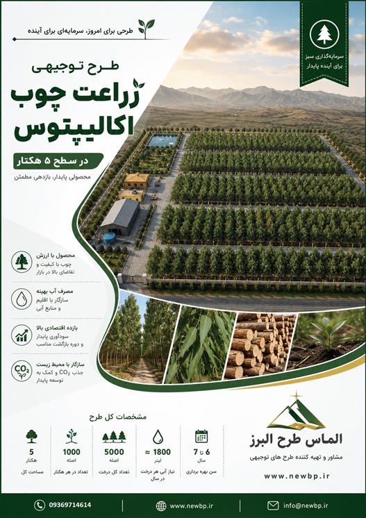 طرح توجیهی احداث مزرعه اکالیپتوس