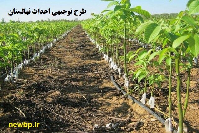 طرح توجیهی نهالستان غیرمثمر و نهال‌کاری