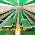 طرح توجیهی تولید جلبک اسپیرولینا 98 | پرورش جلبک اسپیرولینا در گلخانه pdf + doc