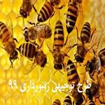طرح توجیهی زنبورداری 99 | سرمایه لازم برای زنبورداری