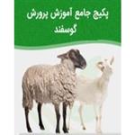 پکیج راهنمای جامع آموزش پرورش گوسفند به همراه جیره و طرح توجیهی