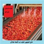 طرح توجیهی تولید رب گوجه فرنگی | هزینه احداث کارخانه خط تولید رب گوجه