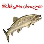 طرح توجیهی پرورش ماهی قزل آلا 20 تنی نگارش سال 1404 + Word + Pdf