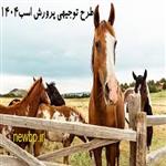 طرح توجیهی پرورش اسب ⭐️ 0 تا 100 مجوز+ وام+ دانلود Word + pdf 