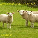 طرح توجیهی گوسفند داشتی (doc+pdf) ۱۴۰۴  ، آیا میش داشتی سود دارد؟ 