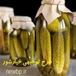 طرح توجیهی خیارشور برای مجوز و وام | هزینه راه اندازی خط تولید خیارشور  1404