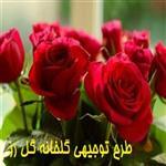 طرح توجیهی احداث گلخانه گل رز هیدروپونیک تمام مکانیزه برای مجوز و وام