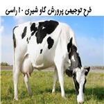 طرح توجیهی پرورش گاو شیری 10 رأسی ⭐ دریافت وام 3 میلیارد تومانی خرید گاو شیری