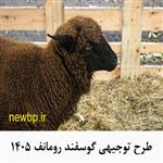 دانلود طرح توجیهی پرورش گوسفند رومانوف و بررسی شرایط نگهداری در ایران 1405