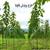 طرح توجیهی کاشت درخت پالونیا ۱۴۰۰ (pdf+word) و برآورد تسهیلات کاشت درخت پالونیا
