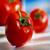 طرح توجیهی کاشت گوجه فرنگی -دانلود رایگان طرح توجیهی احداث گلخانه گوجه فرنگی